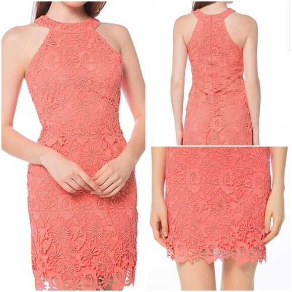 🩵NWT Coral Embroidered Lace Sleeveless Fitted Cocktail Dress Small - Picture 1 of 13